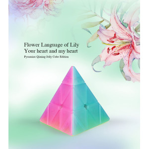 QiYi cube transparent Jelly colour series of pyraminx | Rubik kocka